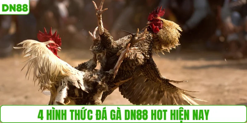 4 hình thức đá gà hot hiện nay