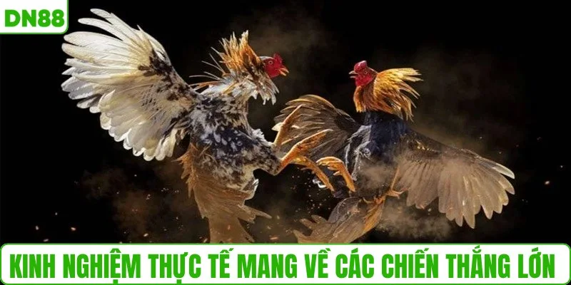 Kinh nghiệm thực tế mang về các chiến thắng lớn