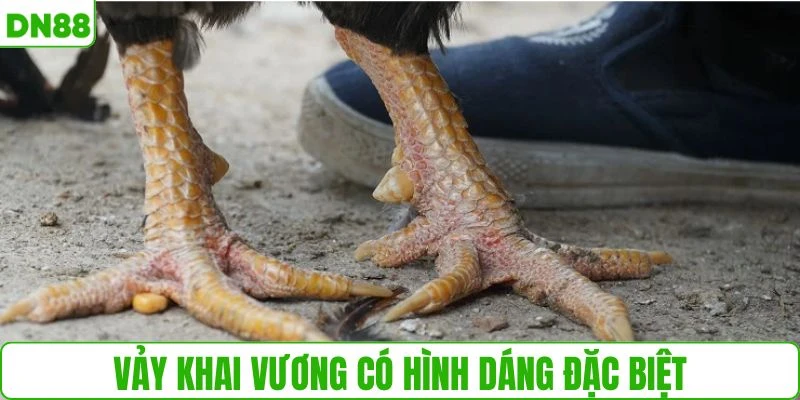 Vảy Khai Vương có hình dáng rất đặc biệt